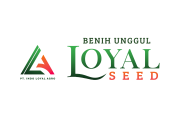 Desain tanpa judul (14)