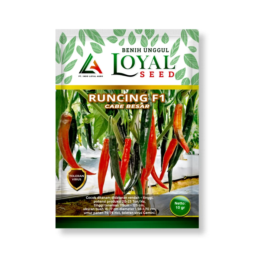 runcing 10gr.jpg_10_11zon